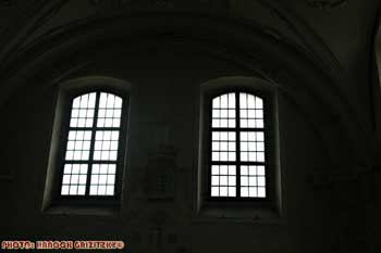 IMG_ (11354)
